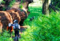 <span class='label-only'>아웃도어 라이프</span> 푸른 초원이 주는 힐링, 크레센트 메도우