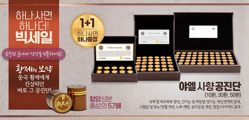 야엘 사향 공진단