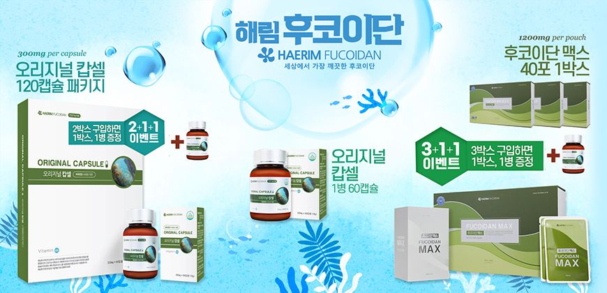 해림후코이단