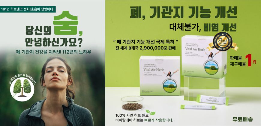 바이탈 에어허브